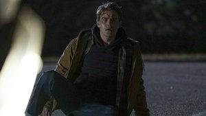 Poster for I Went to the Woods