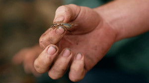 Poster for Episode 15