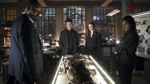 Poster for Who Is Harrison Wells?