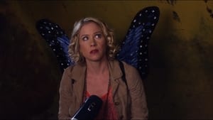 Poster for The Butterflies