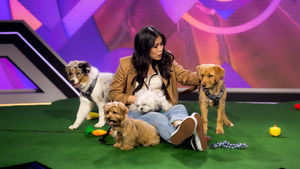 Poster for Fernsehquote: Die geheime Macht der Quotenbox Poster for Fernsehquote: Die geheime Macht der Quotenbox