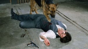 Poster for Moser's Death