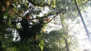 Poster for Guatemala