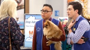 Poster for Dog Adoption Day