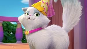 Poster for Happy Princess Birthday Fussy
