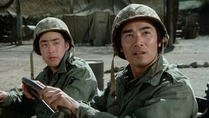 Poster for The Korean Surgeon