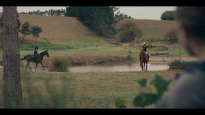 Poster for The Lost Herd