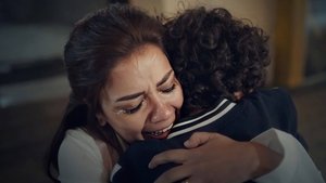 Poster for Episode 24