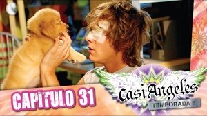 Poster for Episode 31: DOG THAT BARKS