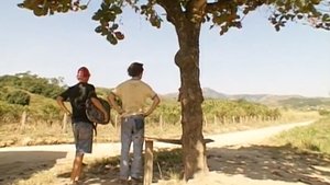 Poster for Chapter 104 Poster for Chapter 104