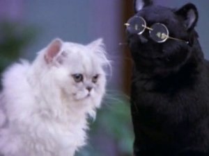 Poster for Salem and Juliette