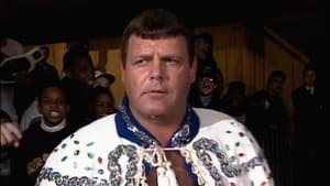 Poster for WWF WrestleMania IX Fallout - Raw #11