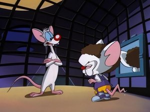 Poster for Pinky's Plan