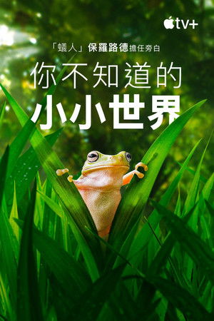 Tiny World Tiny World