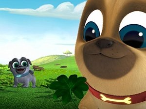 Poster for Polly Wants A Pug