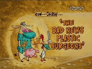Poster for The Bad News Plastic Surgeons