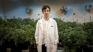 Poster for Beating Blindness & White Collar Weed