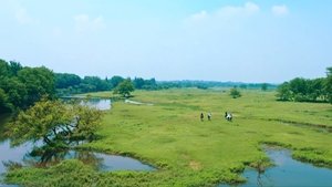 Poster for Da jie ju