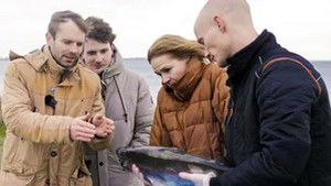 Poster for Fisk har også følelser – fat det!