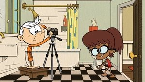 Poster for The Whole Picture