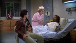 Poster for Leo Loves Kitty