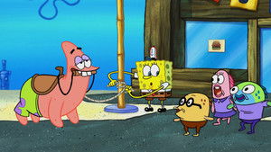 Poster for Pat the Horse