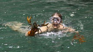 Poster for We Know Where They Live