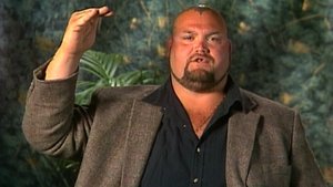 Poster for RAW 97