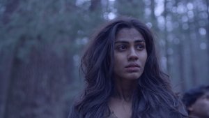 Poster for Catch The Tiger By The Tail