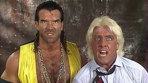 Poster for Superstars - Nov 21, 1992