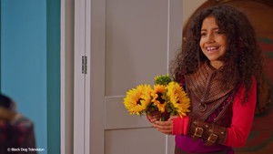 Poster for Swaperooni