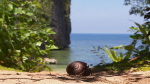 Poster for Episode 40