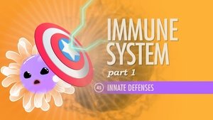 Poster for Immune System, Part 1
