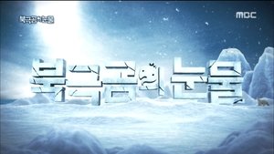 Poster for Tears of the Polar Bear: Part 1