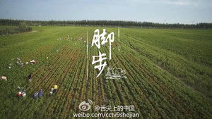 Poster for Footsteps