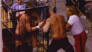 Poster for WCCW - February 13, 1988