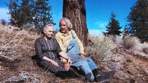 Poster for The Empty Nest