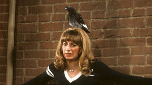 Poster for Love Out the Window Poster for Love Out the Window