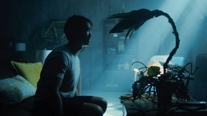 Poster for Plant Life