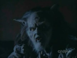 Poster for Werewolf of Hollywood