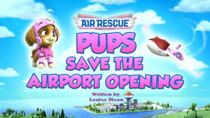 Poster for Air Rescue: Pups Save the Airport Opening