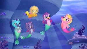 Poster for Water Ballet