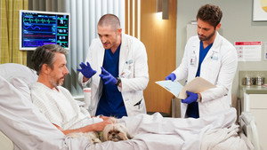 Poster for Therapy Dogs Poster for Therapy Dogs