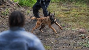 Poster for Episode 7