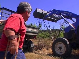 Poster for The Greenhouse Effect Poster for The Greenhouse Effect