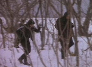 Poster for Message in a Bottle