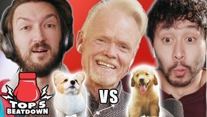 Poster for Westminster Dog Judge Ranks Top 5 Dogs