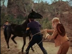 Poster for A Horse of Another Color