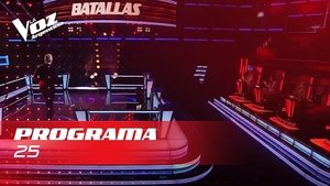 Poster for Episode 25⎜Battles