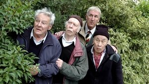 Poster for Behind Every Bush There is Not Necessarily a Howard